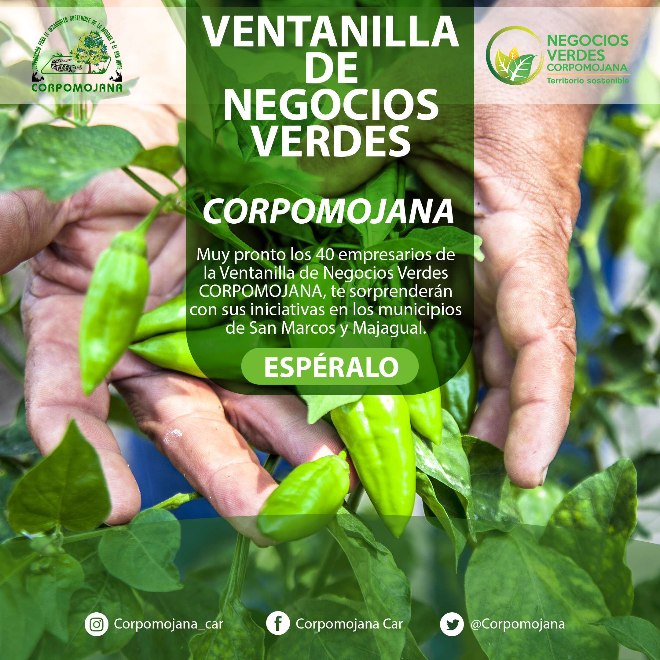 Feria de Negocios Verdes